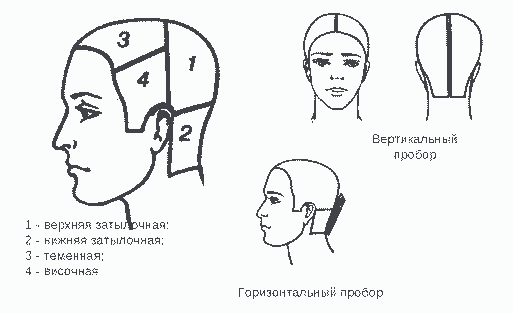 Мужская стрижка машинкой в домашних условиях: что подготовить новичкам схема стрижки